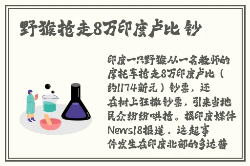 高顿acca少女sdanvi